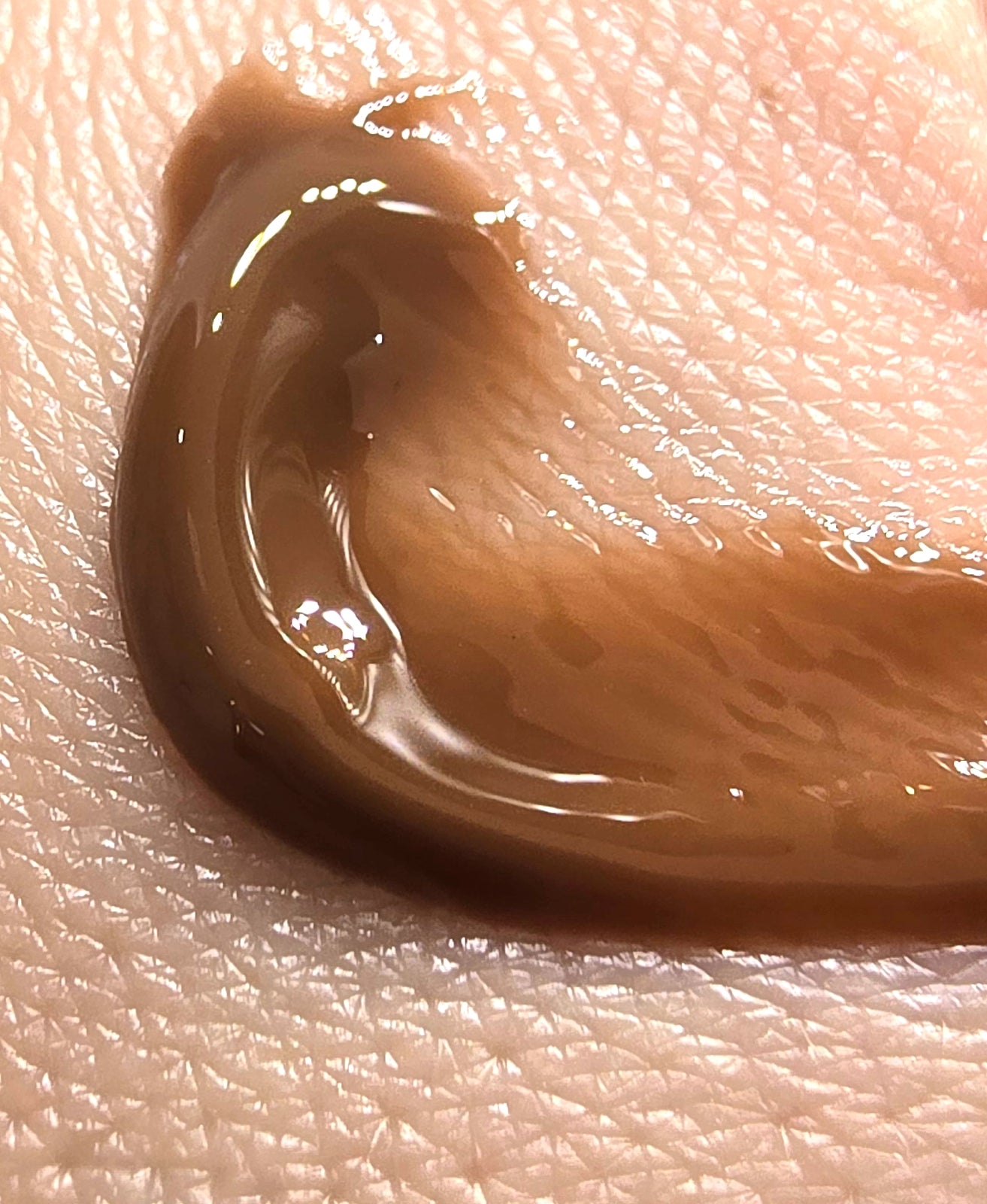 Chocolate Cookie Gloss Theory