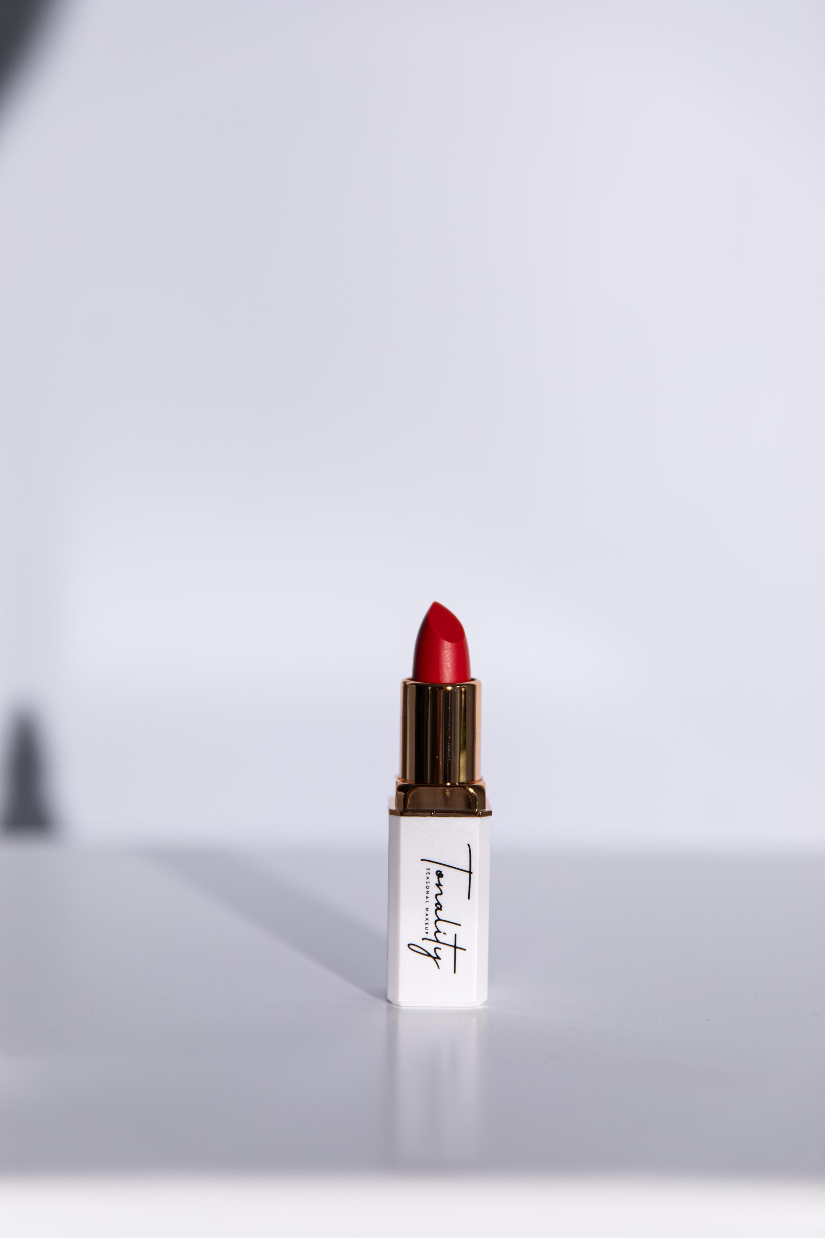 #24 Coral Velvet Blur Lipstick