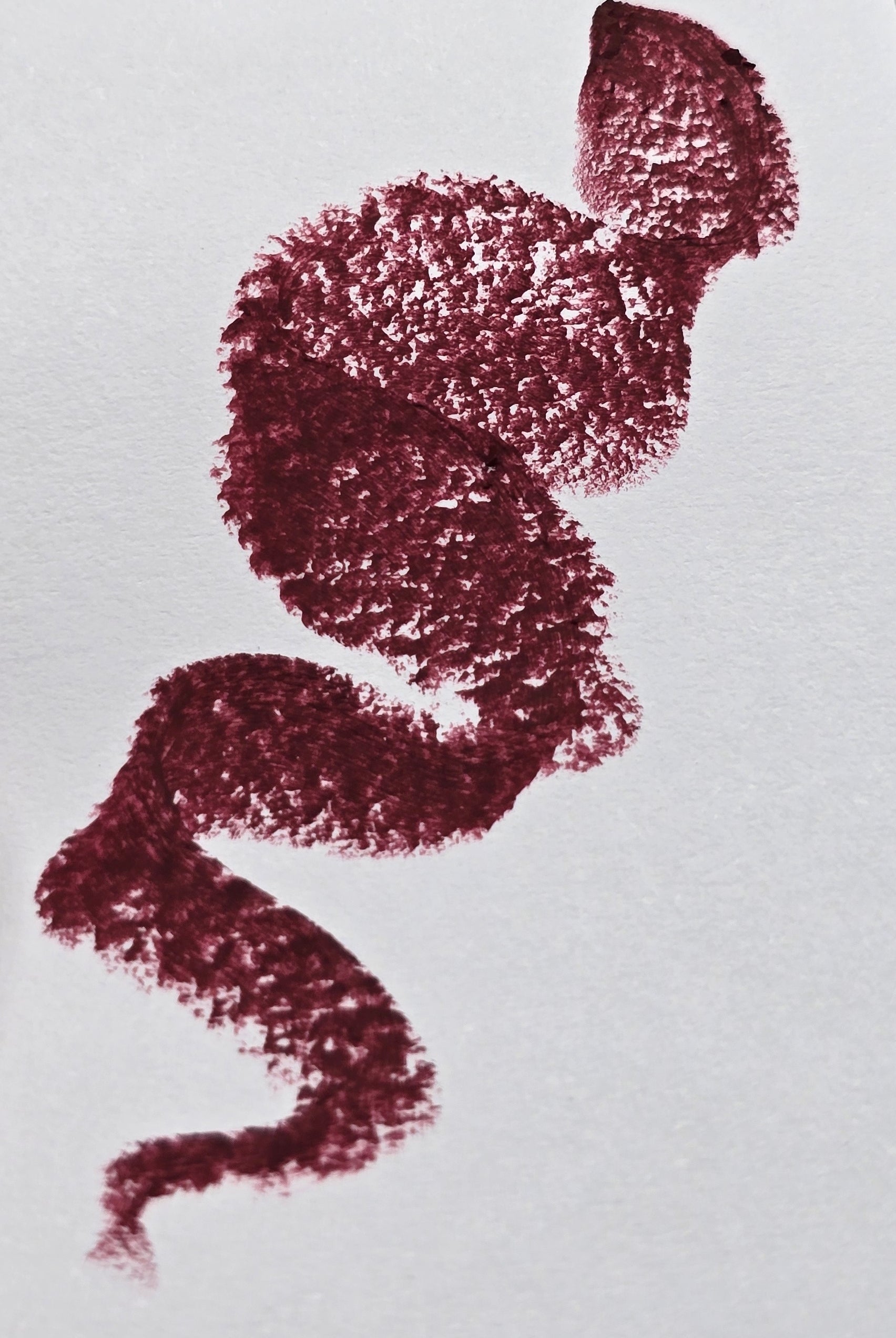 #7 Plum Noir - Velvet Blur Lipstick
