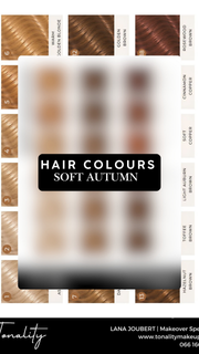 Tonality Hair Colour Board- Soft Autumn