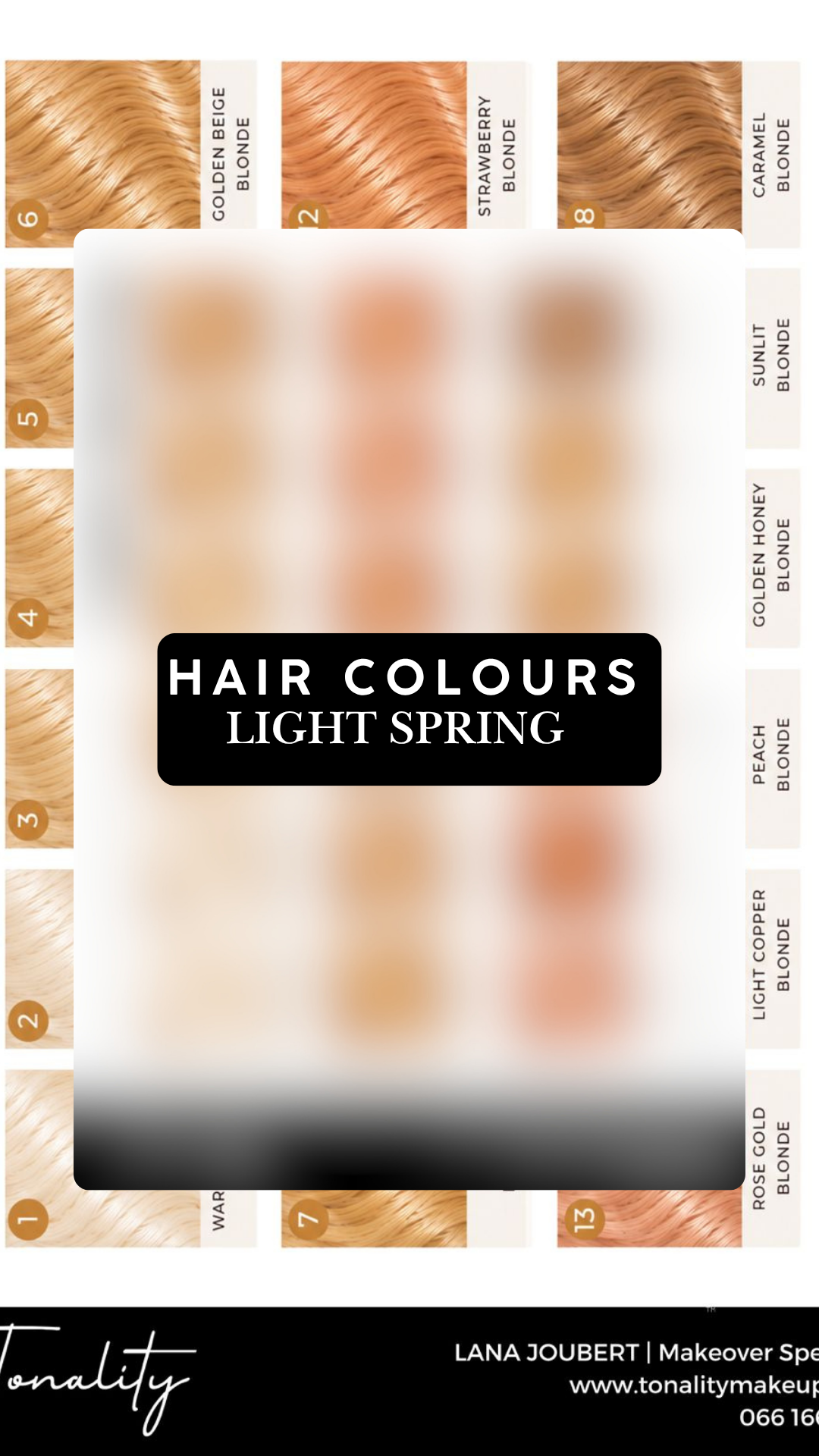 Tonality Hair Colour Board- Light Spring