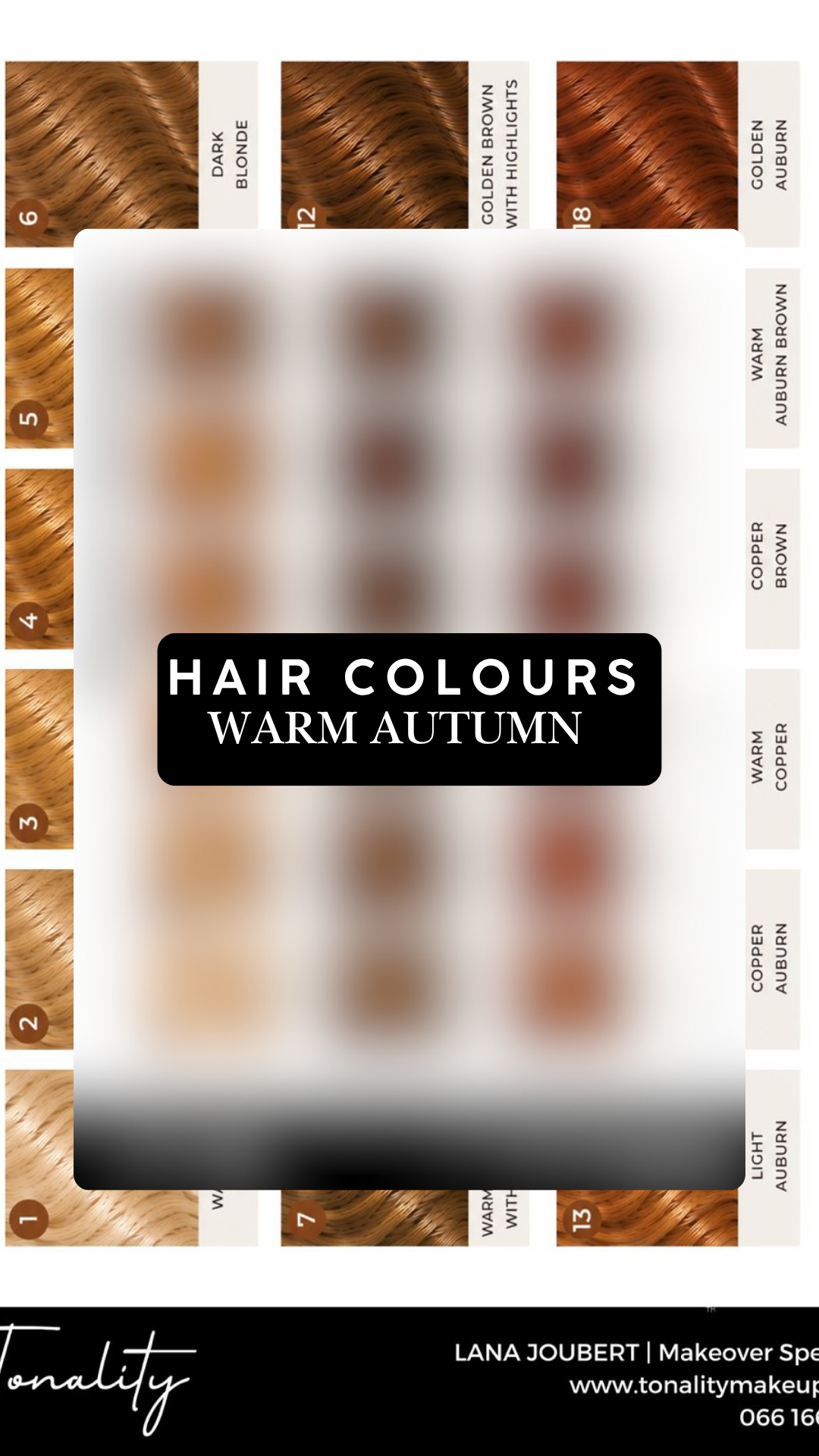 Tonality Hair Colour Board- Warm Autumn