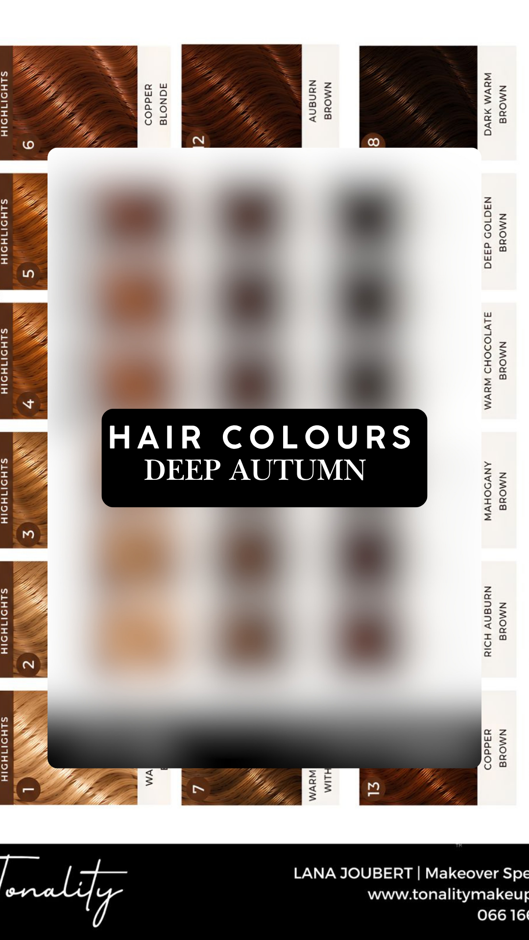 Tonality Hair Colour Board- Deep Autumn